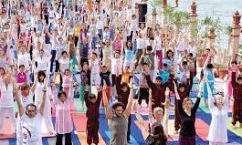 योग की विभिन्न विधाओं से रूबरू हुए साधक