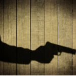 रामलीला देखने गए अधिवक्ता को उसके भाई ने ही मारी गोली